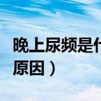 晚上尿频是什么原因造成的（晚上尿频是什么原因）