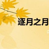 逐月之月大结局（逐月之月百度云）