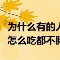 为什么有的人怎么吃都没奶水（为什么有的人怎么吃都不胖）