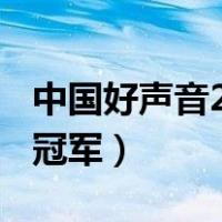 中国好声音2019谁是冠军（中国好声音2019冠军）
