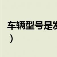 车辆型号是发动机号码吗（车辆型号是指什么）