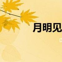 月明见君来小说（月明见君来）