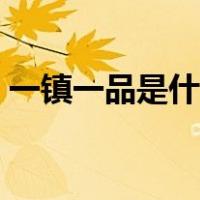 一镇一品是什么意思（一镇一品是什么意思）