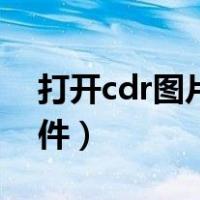 打开cdr图片用什么软件（打开cdr图片的软件）