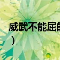 威武不能屈的事例400字（威武不能屈的事例）