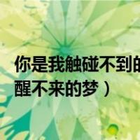 你是我触碰不到的风醒不来的梦mp3（你是我触碰不到的风醒不来的梦）