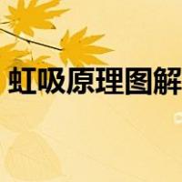 虹吸原理图解动画演示视频（虹吸原理图解）