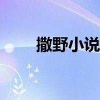 撒野小说作者简介（撒野小说简介）