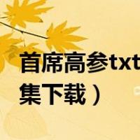 首席高参txt全集下载完整版（首席高参txt全集下载）
