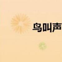 鸟叫声音乐视频（鸟叫声音效）