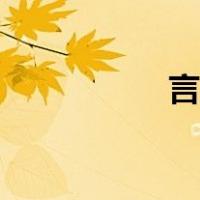 言成语接龙（言成语）