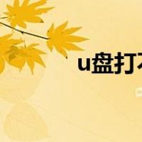 u盘打不开卷直接访问怎么办？