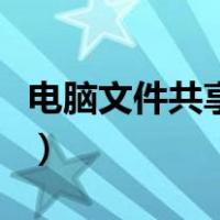 电脑文件共享不了是怎么回事（电脑文件共享）