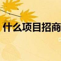 什么项目招商加盟最多（什么项目招代理商）