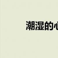 潮湿的心完整版原唱（潮湿小说）