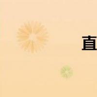 直译法例子（直译法）