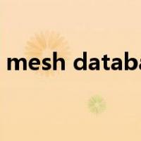 mesh database怎么用（mesh database）