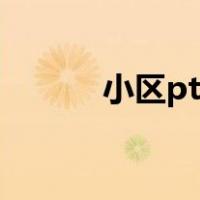 小区pt站是什么（pt站是什么）