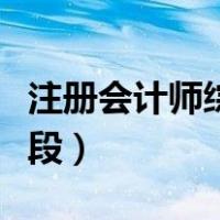 注册会计师综合阶段考试（注册会计师综合阶段）