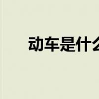 动车是什么样子的车（动车是什么车）