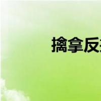 擒拿反擒拿（擒拿反擒拿88法）