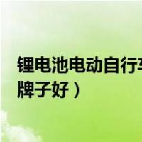 锂电池电动自行车哪个牌子质量好（锂电池电动自行车哪个牌子好）