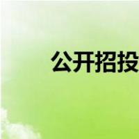 公开招投标技巧（公开招投标流程）
