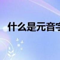 什么是元音字母和辅音（什么是元音字母）