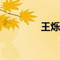 王烁事件司机（王烁事迹）