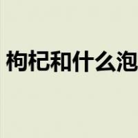 枸杞和什么泡水好（枸杞和什么泡水喝补肾）