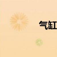 气缸磁性开关（气缸类型）