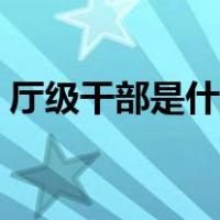 厅级干部是什么水平（厅级干部是什么级别）