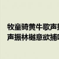 牧童骑黄牛歌声振林樾意欲捕鸣蝉忽然闭口（牧童骑黄牛歌声振林樾意欲捕鸣蝉作者）