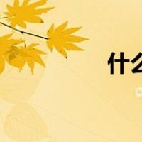 什么是回避型依恋人格？