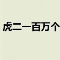 虎二一百万个可能视频（虎二一百万个可能）