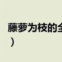 藤萝为枝的全部小说集（藤萝为枝的全部小说）