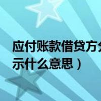 应付账款借贷方分别表示什么意思（应付账款借贷方分别表示什么意思）