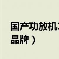 国产功放机10大品牌排名（国产功放机10大品牌）