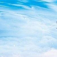对先数还是先数？
