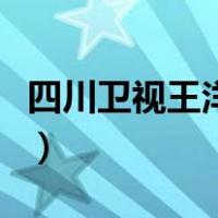 四川卫视王洋老公是谁（王洋的真正老公是谁）