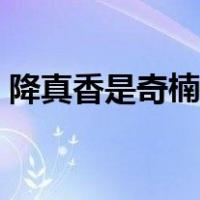 降真香是奇楠沉香吗（降真香和沉香的区别）