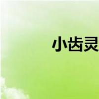 小齿灵猫分布区域（小齿灵猫）