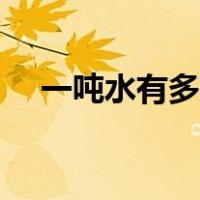 一吨水有多少桶纯净水（一吨水有多少）