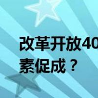 改革开放40年来中国农业发展成就有哪些因素促成？