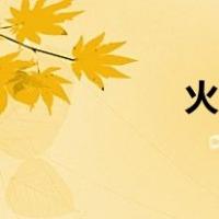 火眼插件（火眼插件）