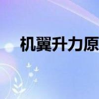 机翼升力原理动画讲解（机翼升力原理）