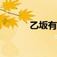 乙坂有宇头像图片（乙坂有宇）