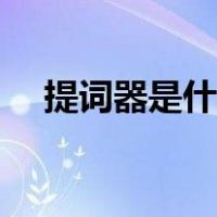 提词器是什么样的（提词器是什么东西）