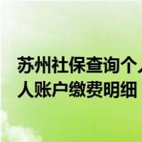 苏州社保查询个人账户缴费明细怎么查询（苏州社保查询个人账户缴费明细）
