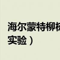 海尔蒙特柳树实验说明了什么（海尔蒙特柳树实验）